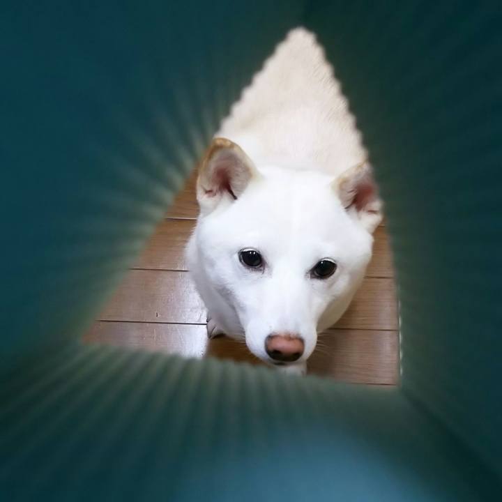 18ca8732 612f 40de b63b 53a8e3a2ff92