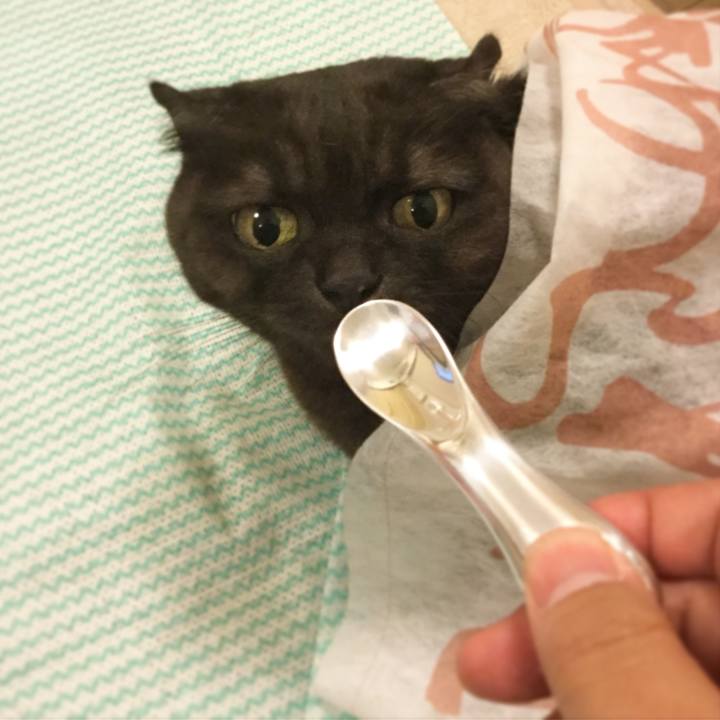 18cb0eec 47d3 4980 93ed 153b6df30553