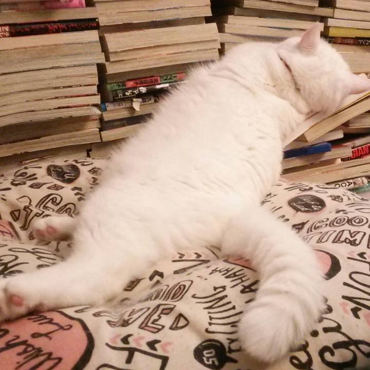 18cb177e 8af7 4e6d 9a4a fd984e03a62b