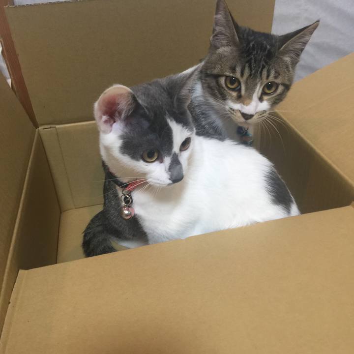 18cb2179 f91e 4fc2 a282 f099d7630f6c