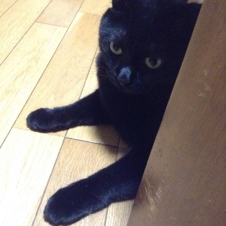 18cb573a 3147 4da7 a3e6 0d152cd12d77