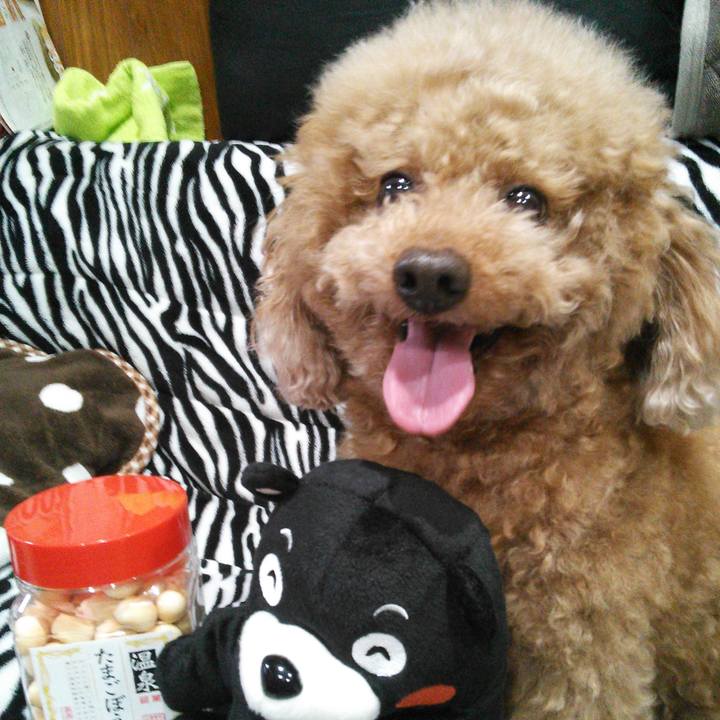 18cc0e7d 2e3a 4e55 9c97 c28b04a44ed1