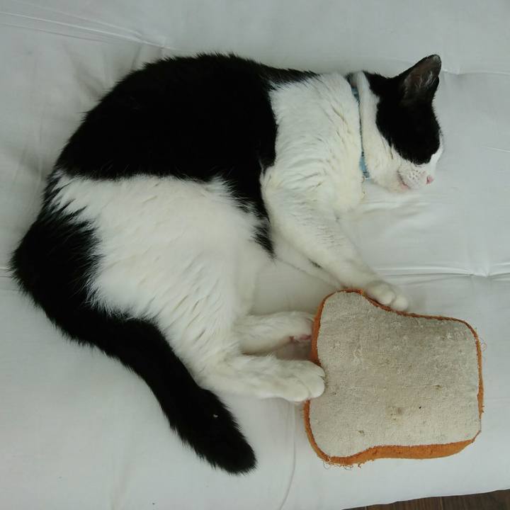 18cc60fe 1a01 464d 8056 da95b4ede4f5