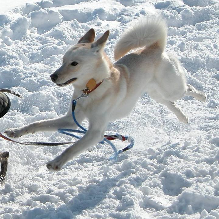 18cc783a 6c60 42a0 8267 c85a310c5c1d