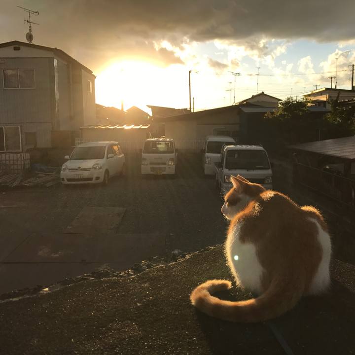 18cd36f0 b120 4501 b532 841d99b30c1a