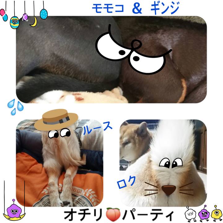 18cd63f6 c791 4bf1 887a 0f5228398938