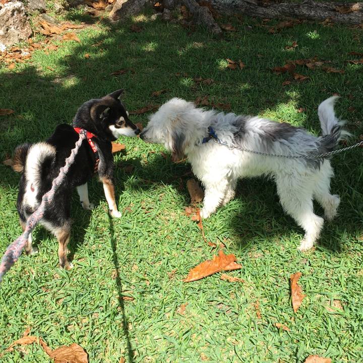 18cd6d9f e1c4 40b6 a0fb 06cc7f8aabc4