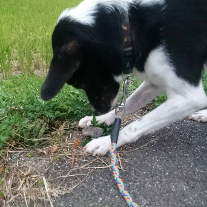 18cdd7f3 53f2 44ec 9309 9941c7abe886