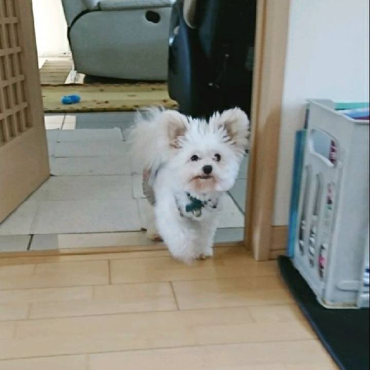 18cdf8e1 577d 4cb3 9f1b 09d0d90a17cf