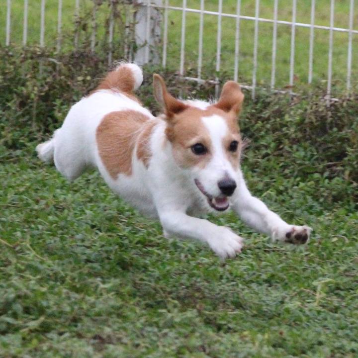 18ce276d aa5b 45e4 9cd9 755b24517ba0