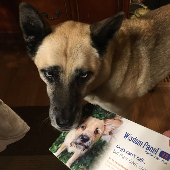 18ce7db5 c054 497d 8ae6 f252f5fde917