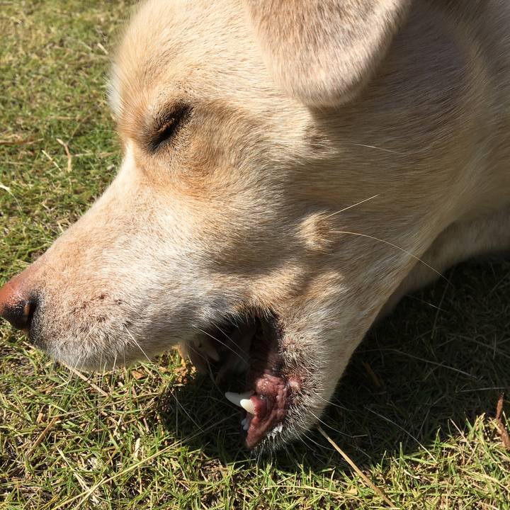 18ce9144 d259 4472 ab9c 99b80d1ac57f