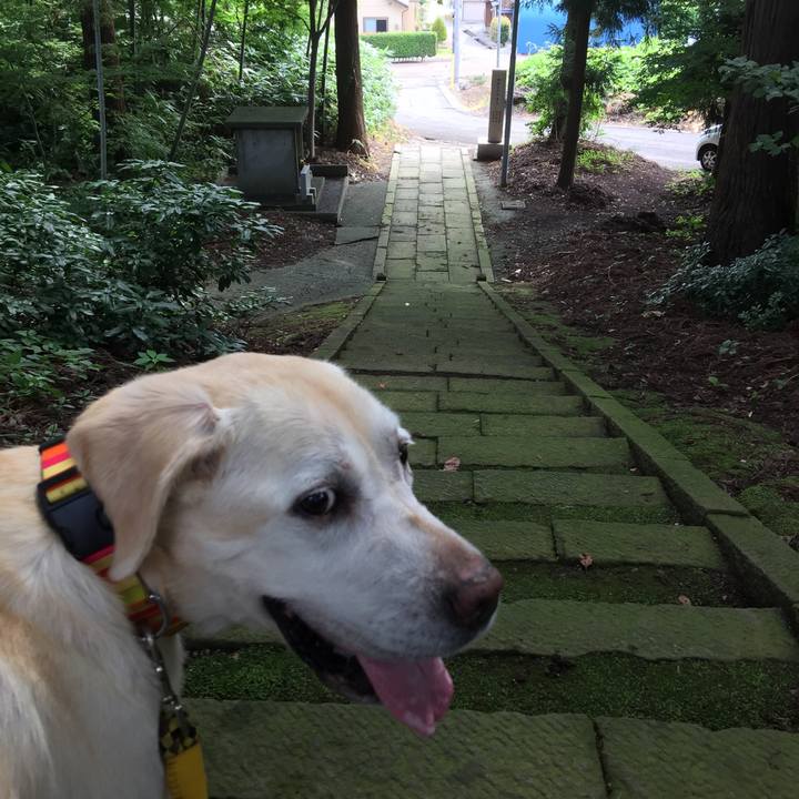 18cef464 6c1f 40a7 83bc 109f09559b4f