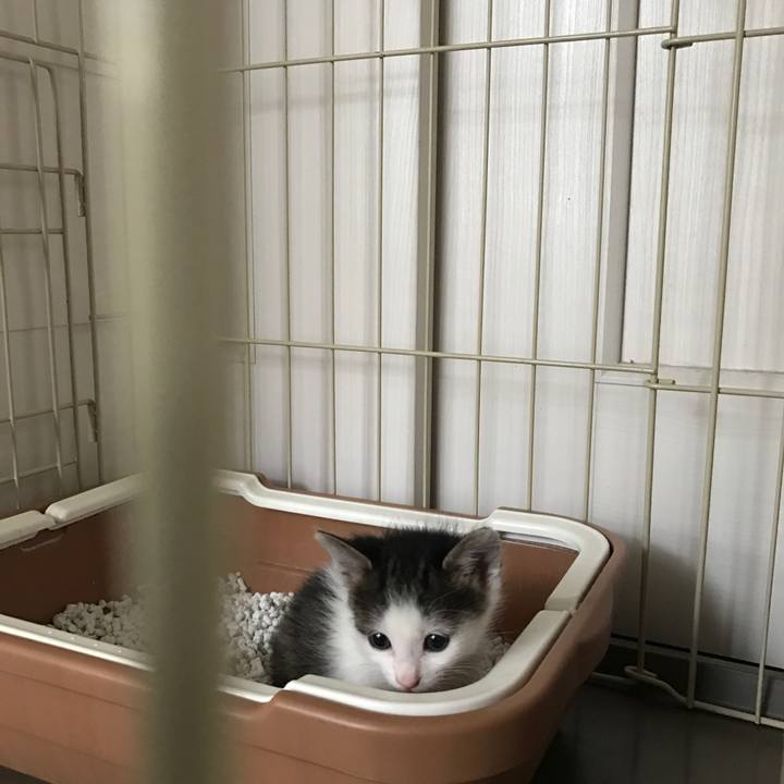 18d02acc 47bf 4757 b1ee dc416098594e