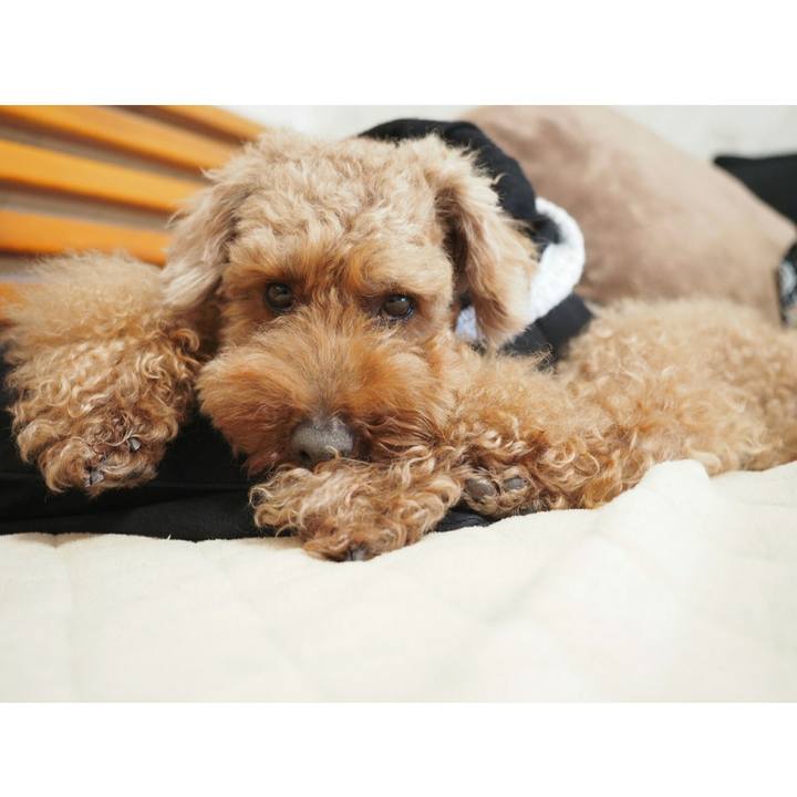 18d10270 6ca8 47c9 ac4f 358186c356e6