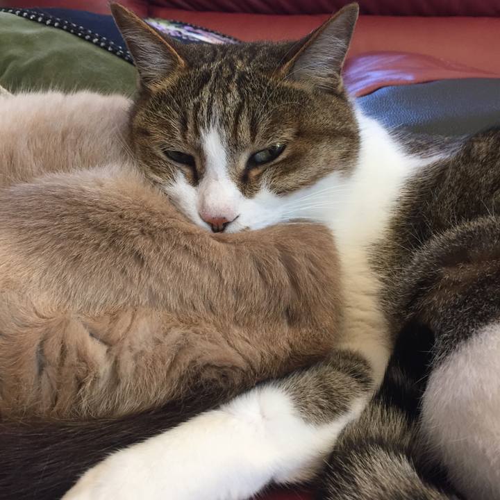 18d147a3 dfd5 4edd b648 c32ba360cc04