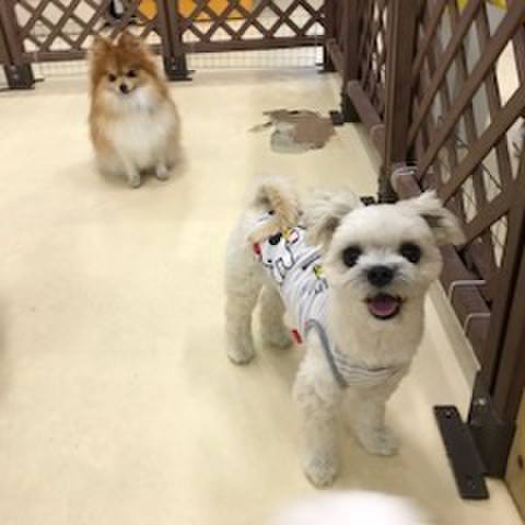 18d1aaf2 25ab 4f80 8a09 025fc123d9a1