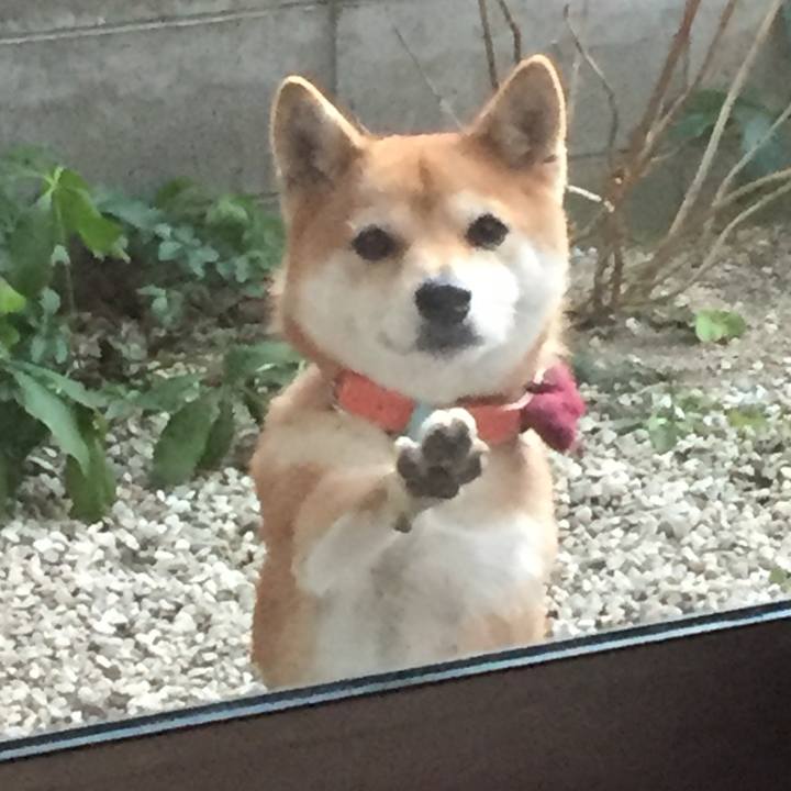 18d248e6 ad23 4c2b a521 292e0ed8fc1d