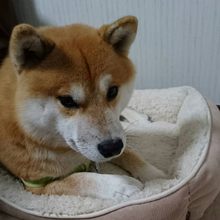 18d2a743 6db1 426a acc4 70ef7c626517