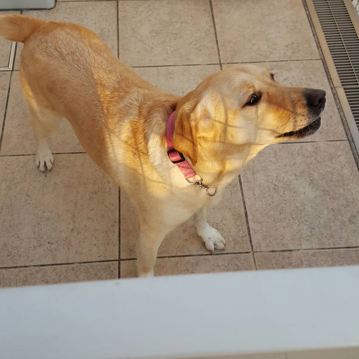 18d30457 2477 42ba 981a ae4e81625a1b