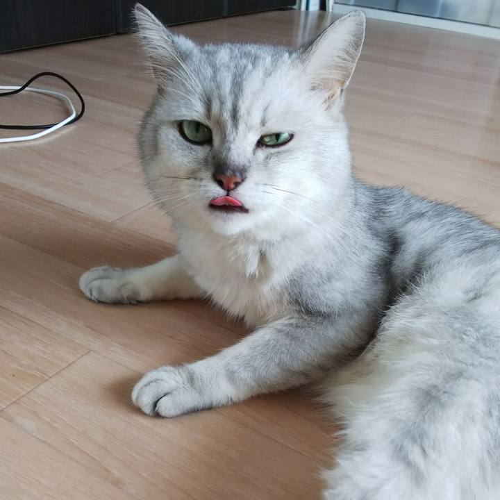 18d30673 f9e0 46a7 a3e7 7c2dbf4068ec