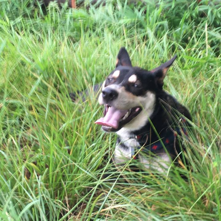 18d3509f b931 442f 915f cb9224e0e10e