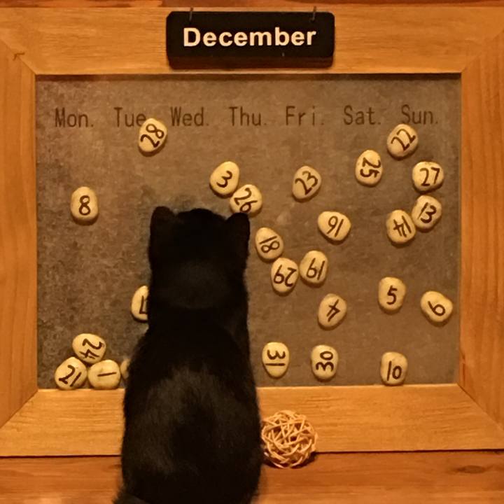 18d3a9c0 82a8 452a 9d61 ea4903e96727