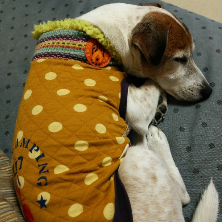 18d46677 4c09 471f b540 e379255769d1