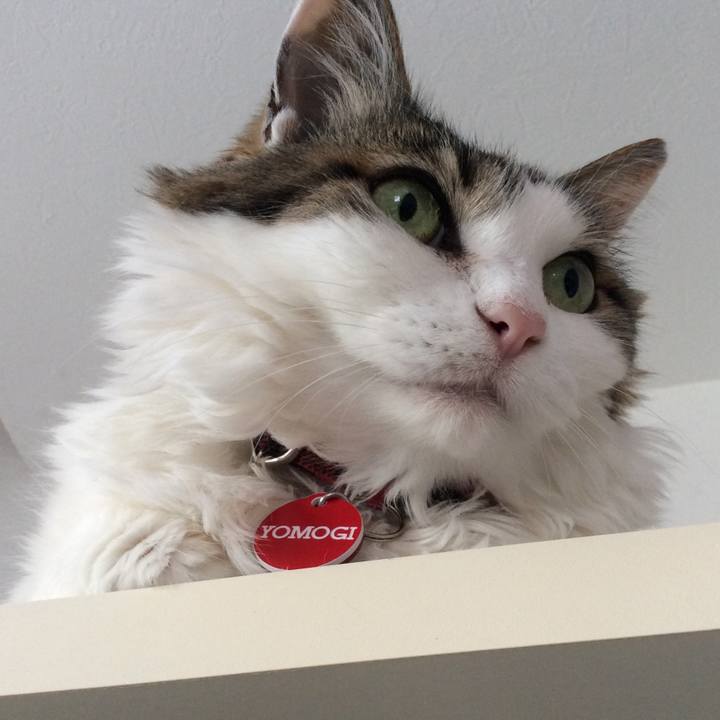 18d520a0 694e 4f5e 8989 6cae84a8908e