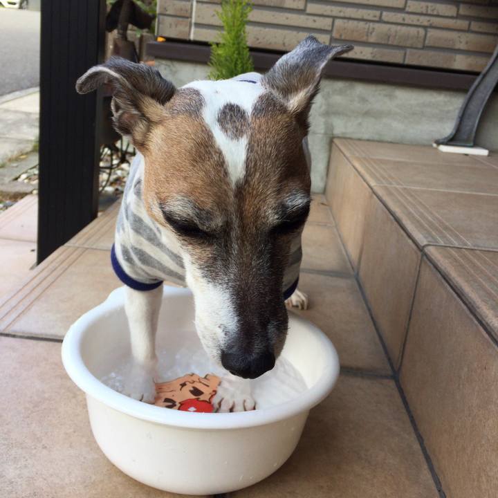 18d521f7 b84c 466e 86f6 168e761223e5