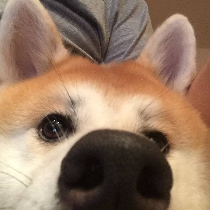 18d60771 48f3 40c7 af92 08015f262a5c