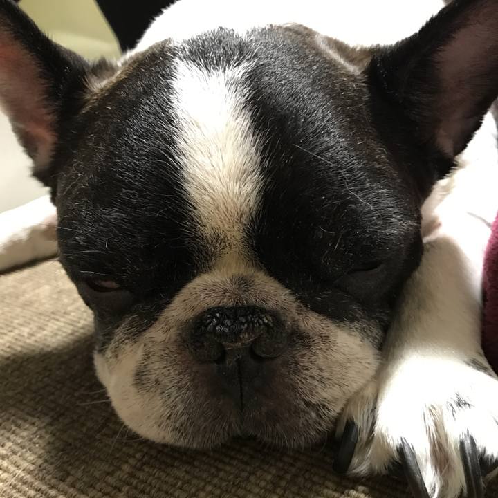 18d67db4 3fd4 49d1 8cbf 805bb28c8278