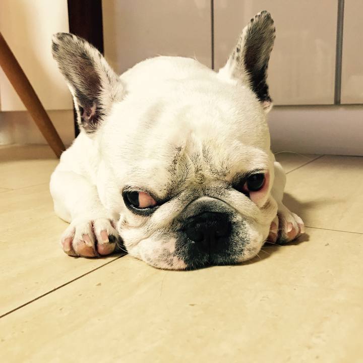 18d688e9 f31b 44cf a56f b72541810486