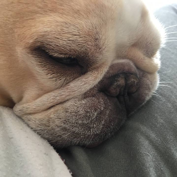 18d6de05 13e9 4927 9ce7 d7c2fc96fdae