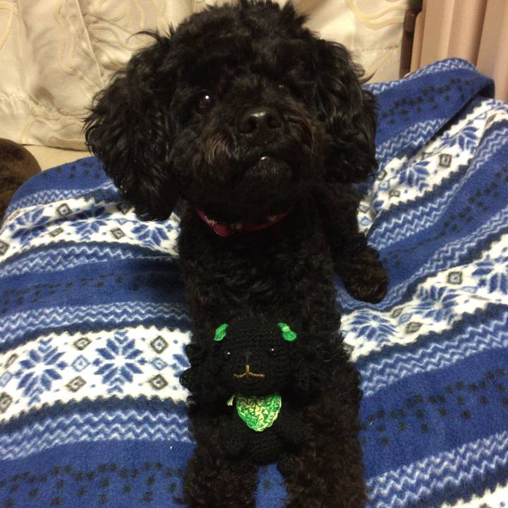 18d70686 eeb0 4ac4 8cdf 3dd95888782e