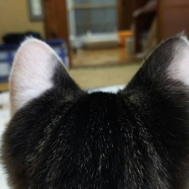 18d71936 21dd 4cba ab6a 735e8bf9ec0b