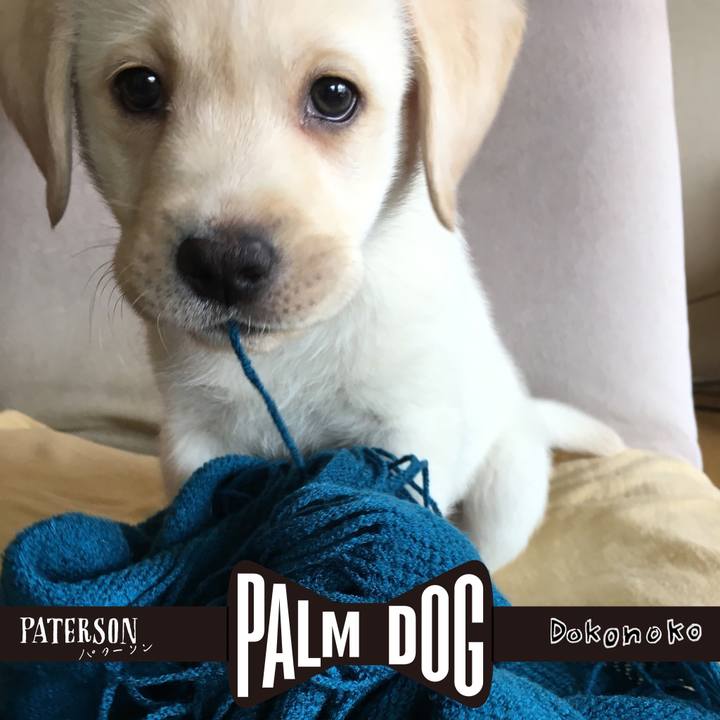 18d81a19 3aab 40f5 8012 21dfb6c8b0ff