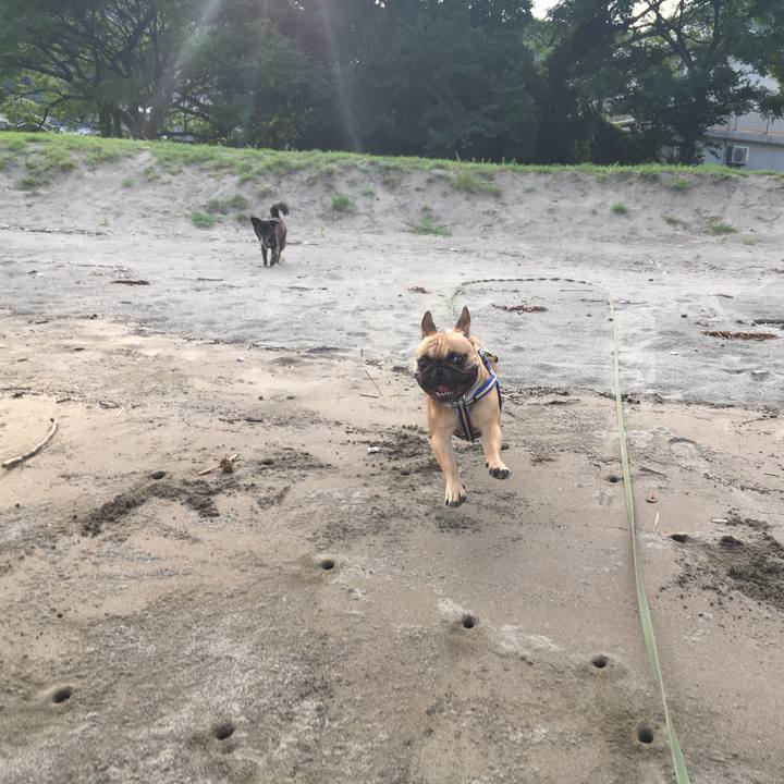 18d81cb2 8bcf 4927 9bc0 f727557a94d7