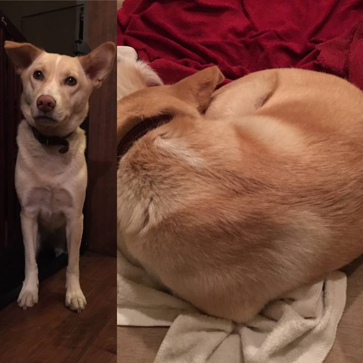 18d872c3 b1af 4709 959a 295758391691