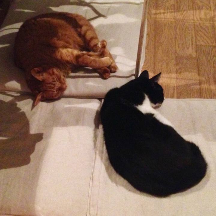 18d8c488 43de 4dad bdb2 b46229ca56e6