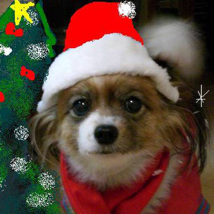 18d94356 3968 4bc2 a5fa ef7bf4b4a965