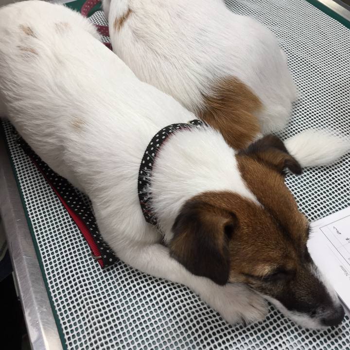 18d972bc beaf 4a25 8ca1 c6226da8343c