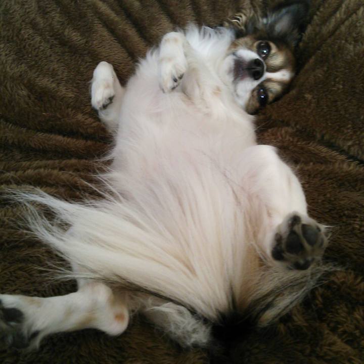 18d9a27e b358 498d a9f6 b06d1d312078