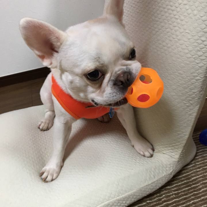 18d9b137 49aa 4926 885a 18f92314d9b5