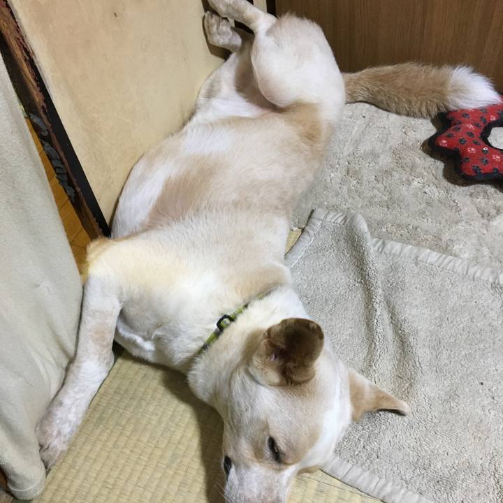 18d9c278 1480 49f3 b5aa 7fea95474162