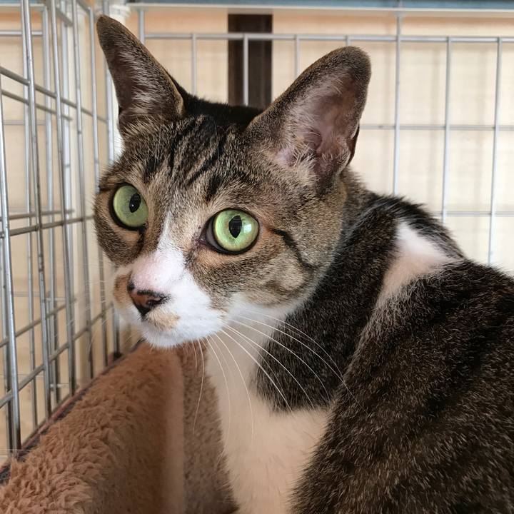 18da4f4e d396 42a9 97de 355d95f6cc79