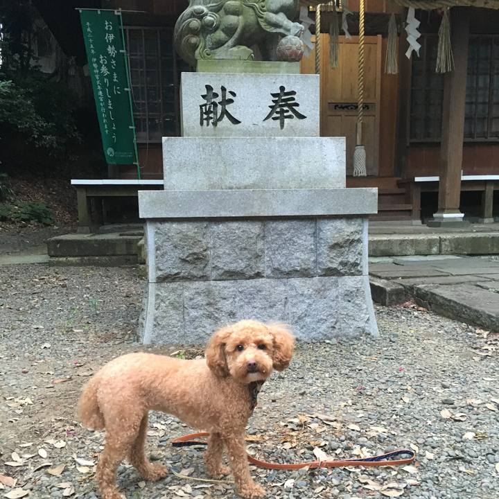 18da9c22 7c75 4564 ab80 8556026977af