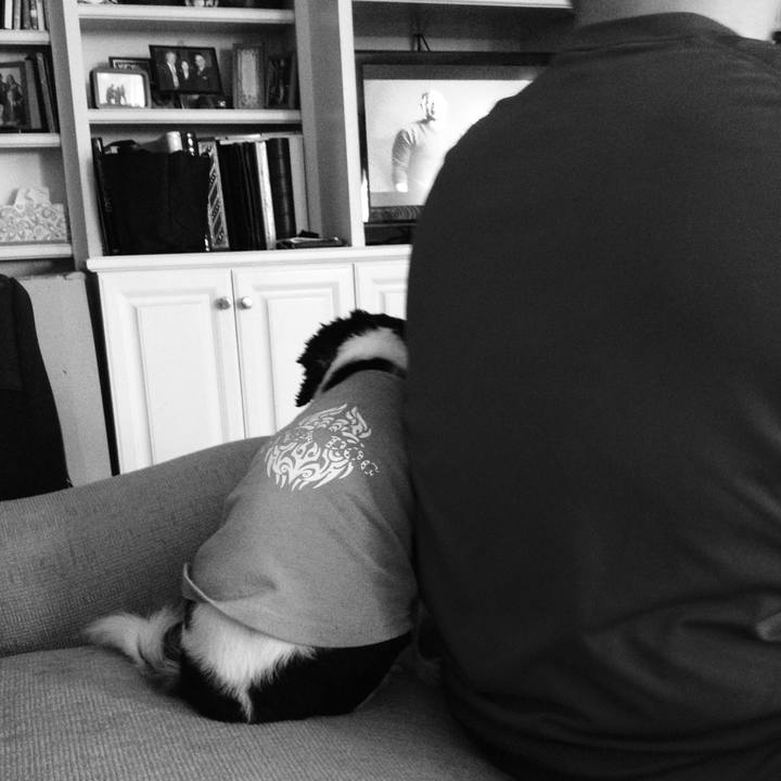 18daf414 fc3d 4e4f a4d0 e4a31682afb9