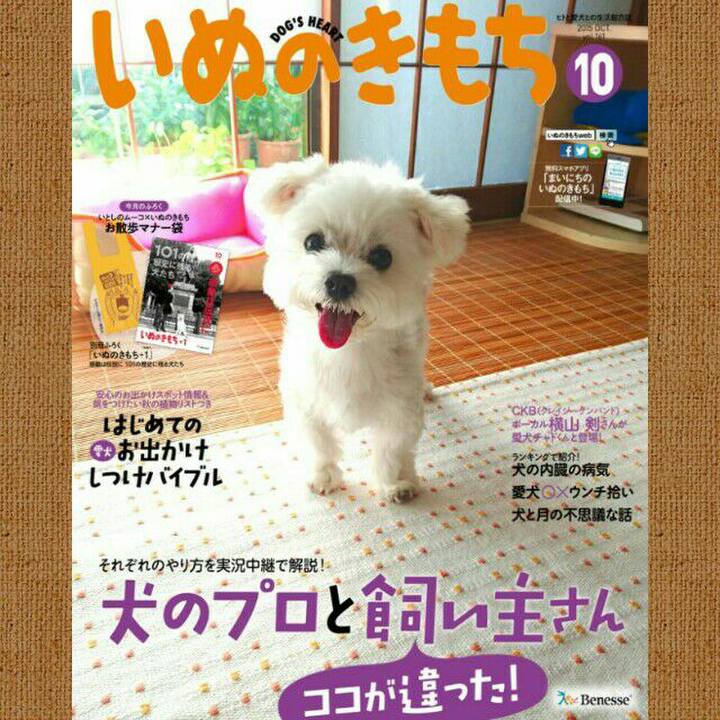 18db1dd7 870f 44ac 8a3b fdb817b38739