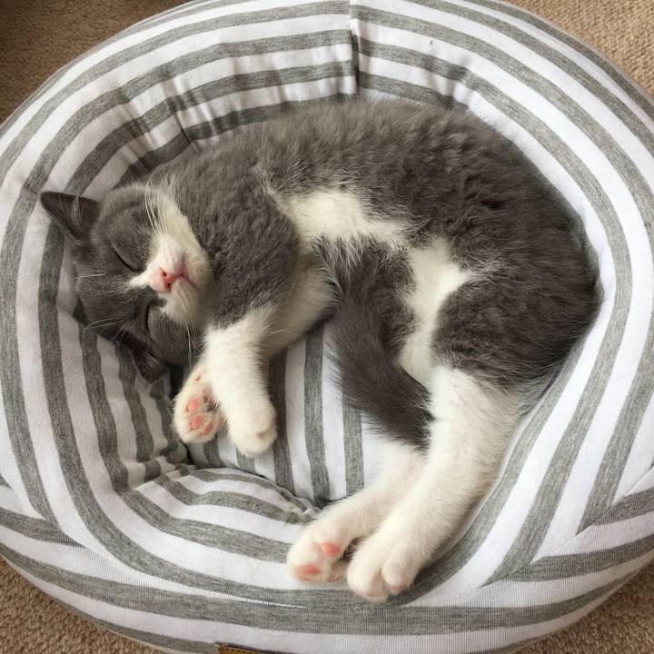 18db5d0a 98eb 4c9a 8ccf 7ad869823c02